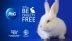 does procter and gamble test on animals|Procter & Gamble Supports Worldwide Ban on .